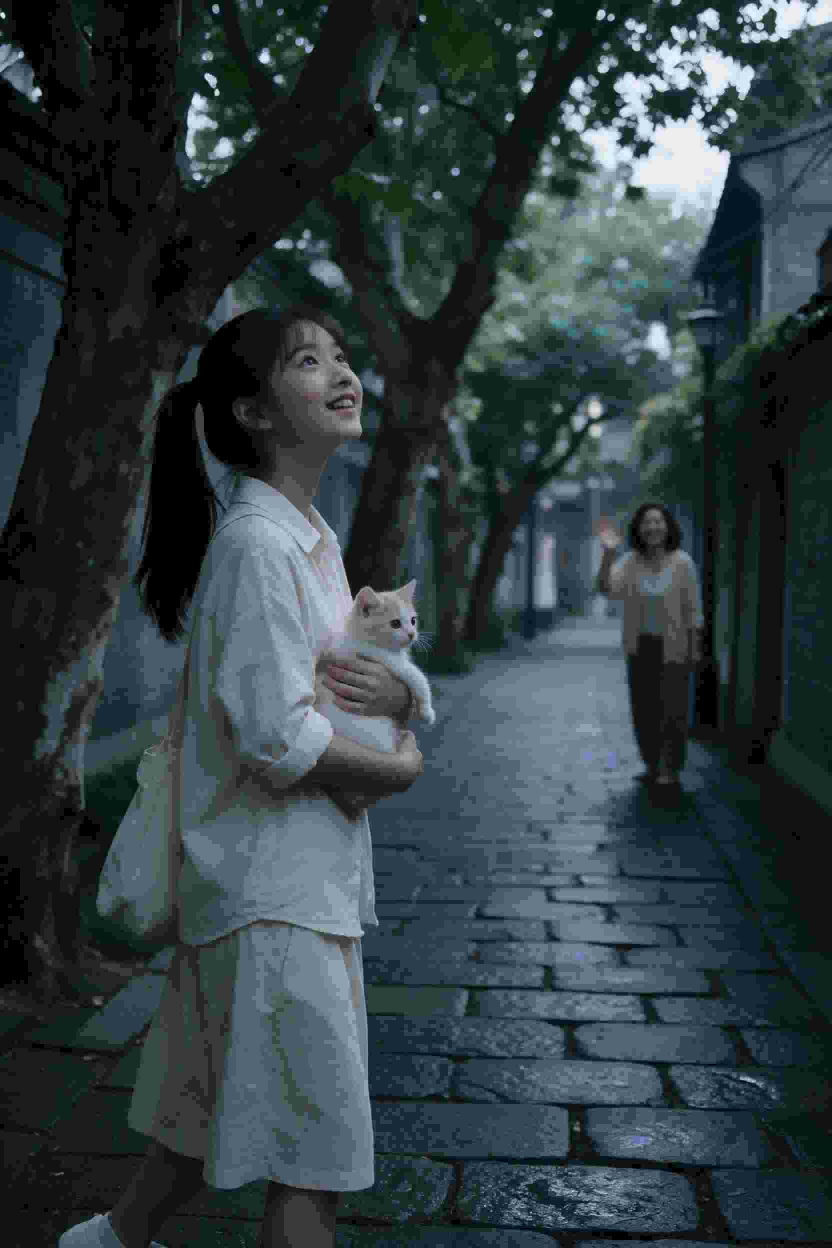 秋叶原战记
